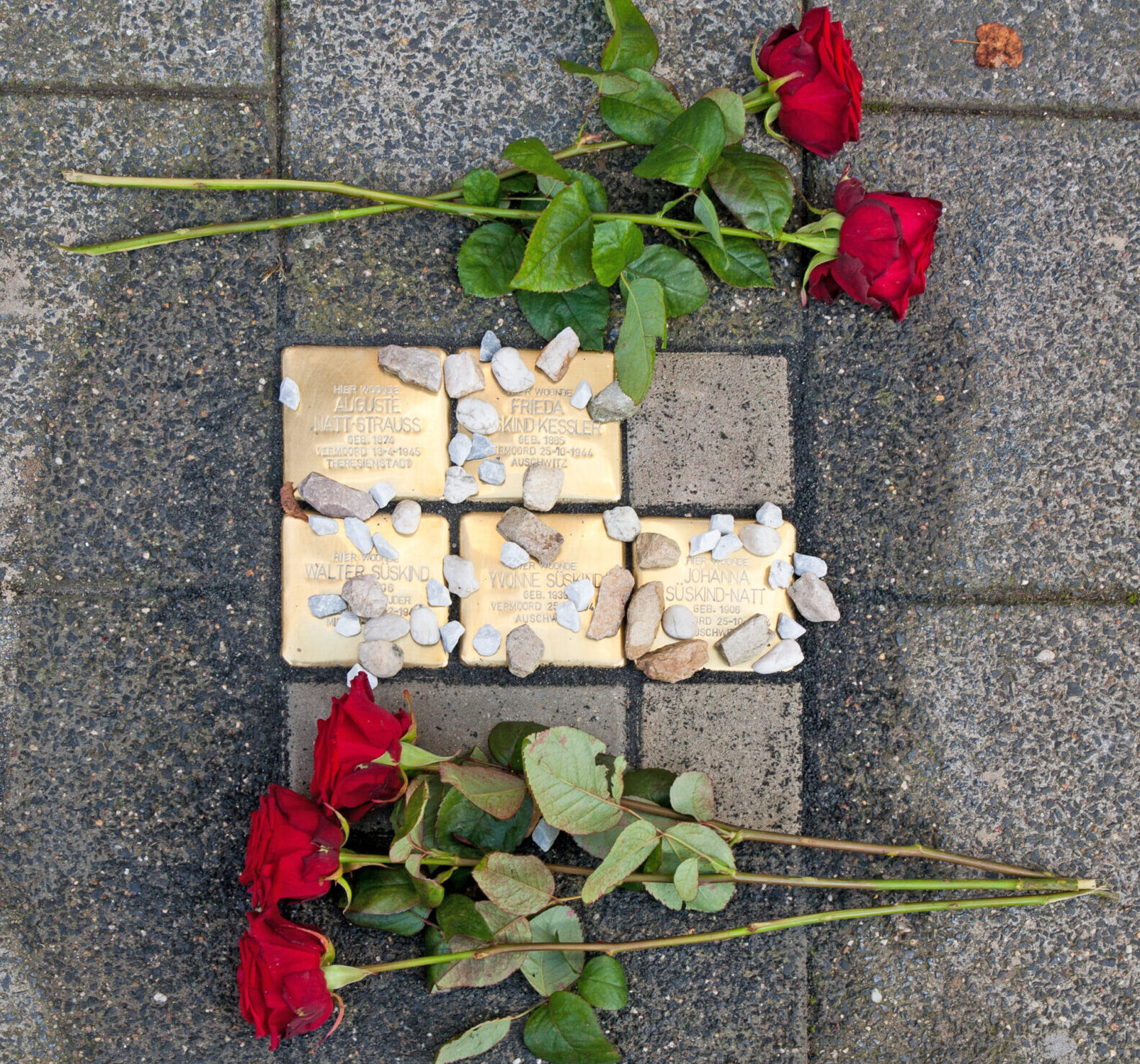 De eerste stolpersteine in Bergen op Zoom